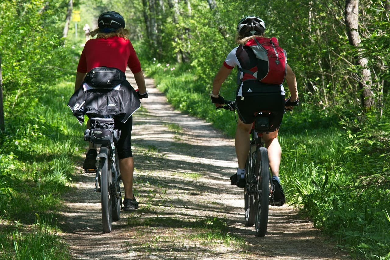 A klímaváltozás és az urbanizáció a kertünkbe hozza a kullancsokat és a Lyme-kórt