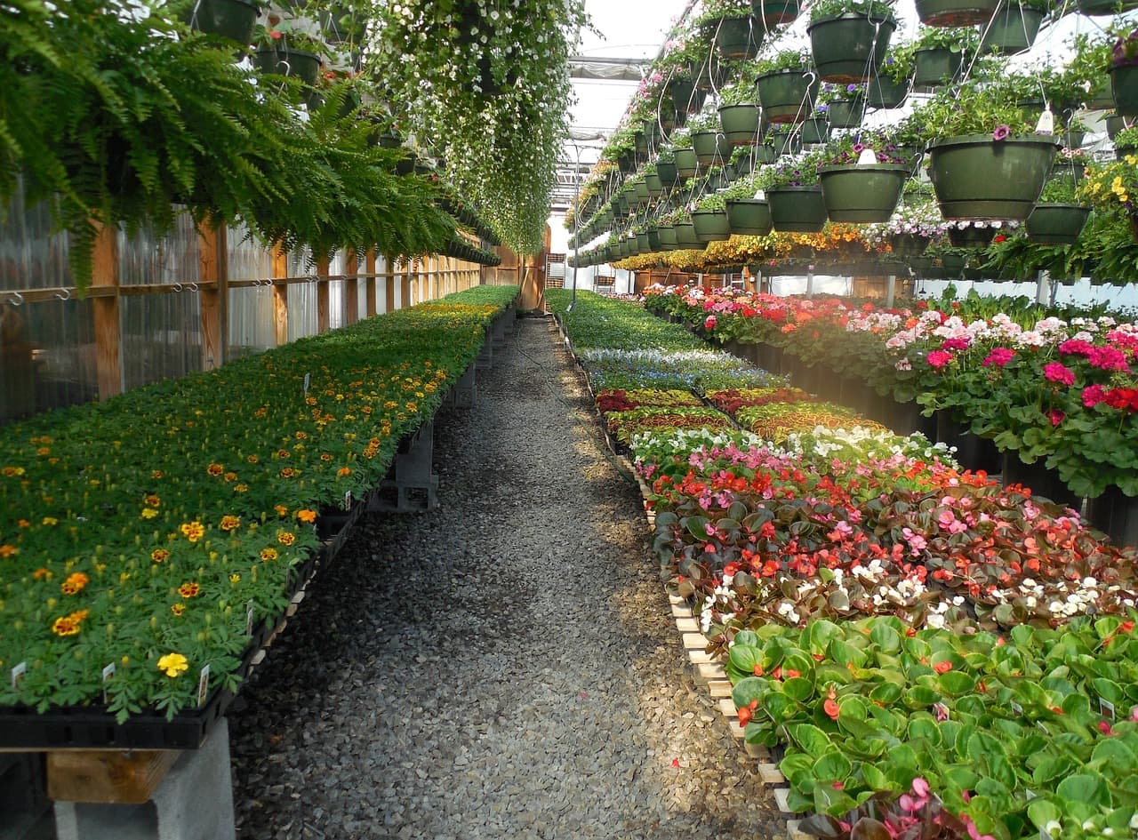 Vendégmunkás-stop: Miért éppen az agrárium a kényes pont?
