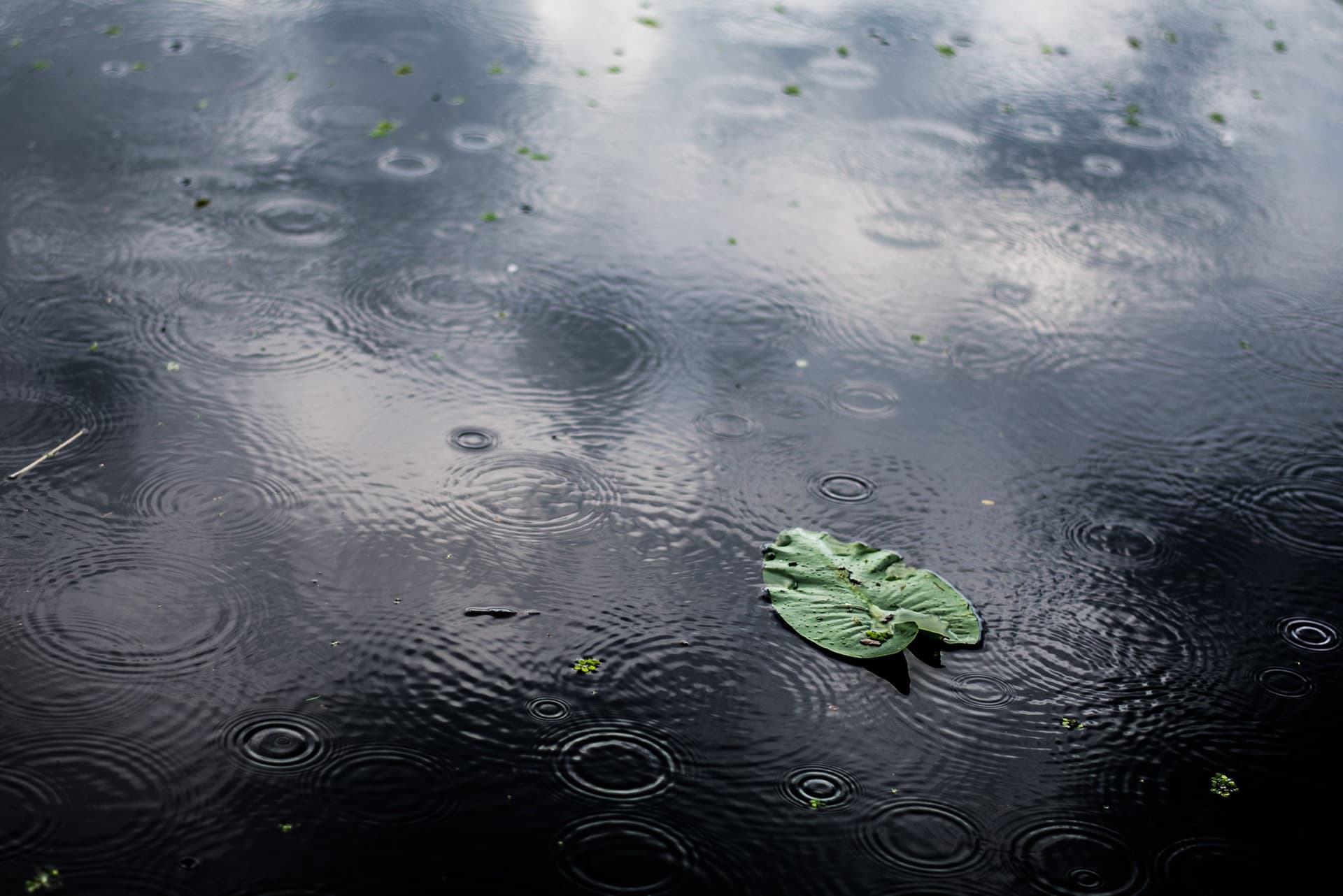 Két hullámban érkezik az eső, amire hónapok óta vár az ország