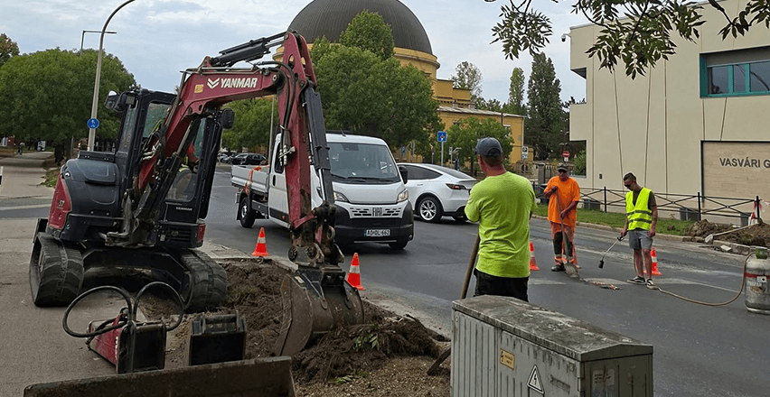 Fehérvári zöldtanácsnok bírálja a fakivágásokat: a fákat közműként kellene kezelni