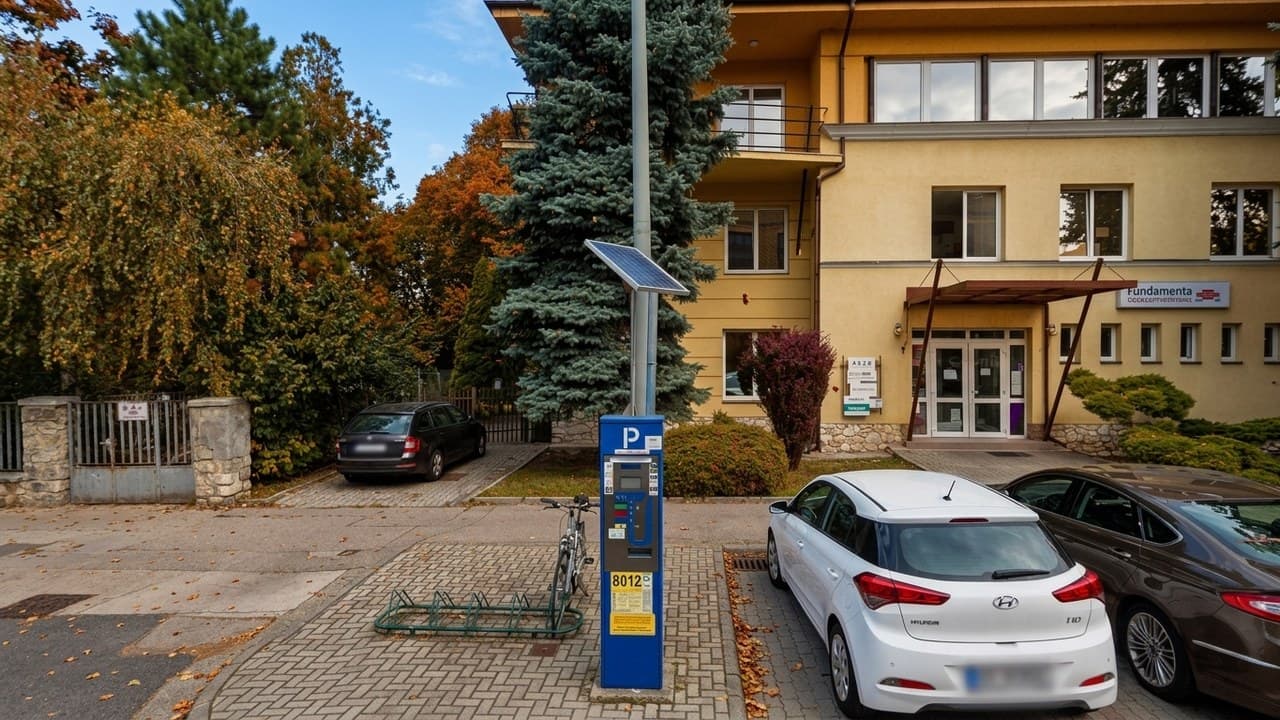 Egy kék parkolóóra, parkoló autók és egy épület látható egy őszi utcán.