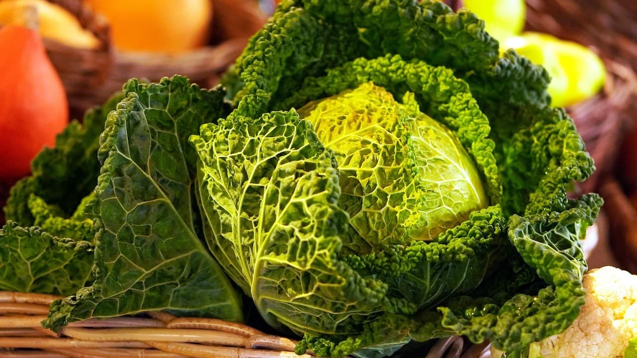 Őszi vitaminbomba 3. – Kelkáposzta: nem csak főzeléknek jó