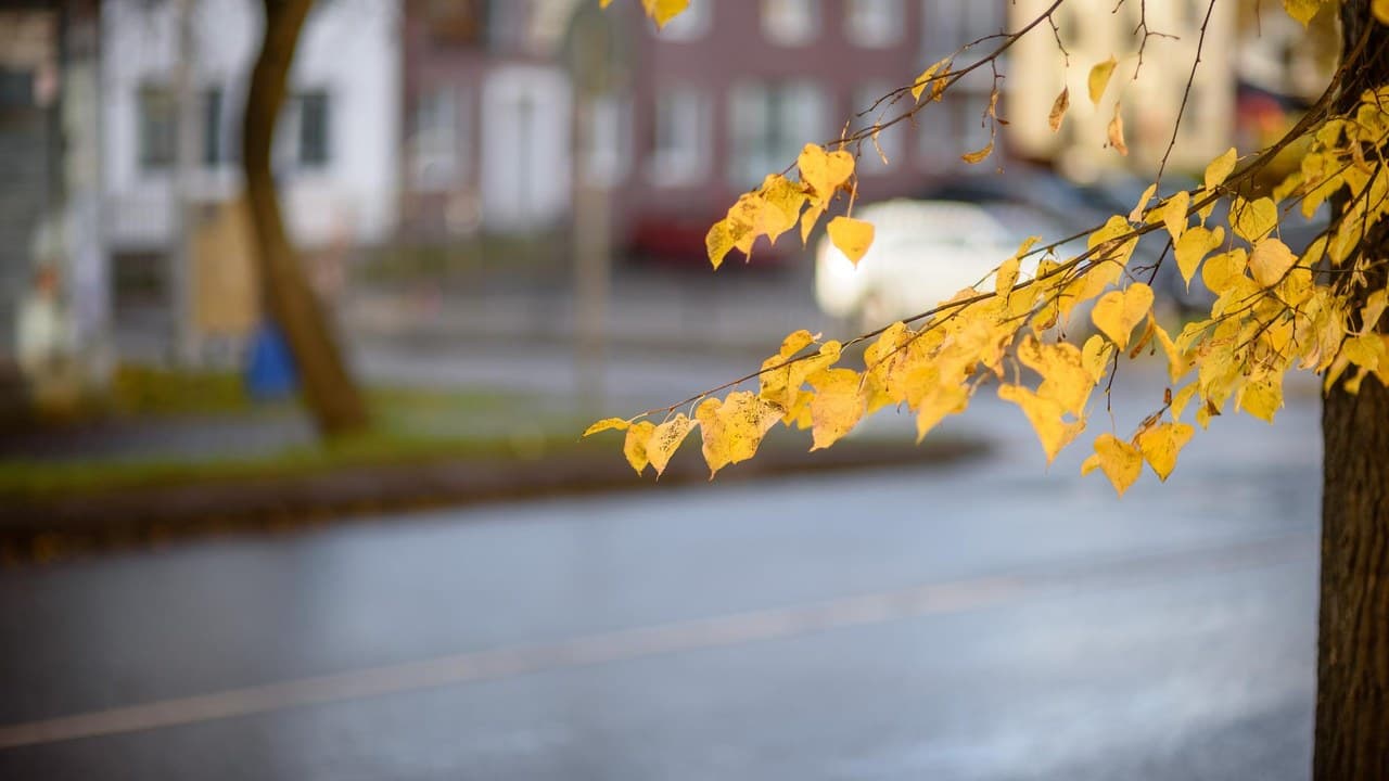 Őszi táj színes fákkal, tóval és felhős éggel, az őszi időjárás jellemzője.