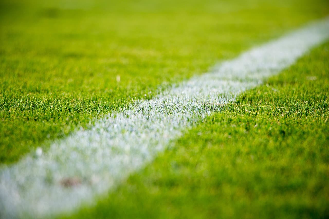 A futball láthatatlan főszereplője: nyolc évig tartott megtervezni a tökéletes világbajnoki gyepet