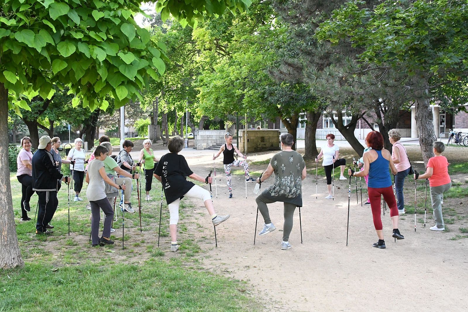 Ingyen mozgás szeptembertől: újranyit 27 tornaterem és bővül a nordic walking Fehérváron