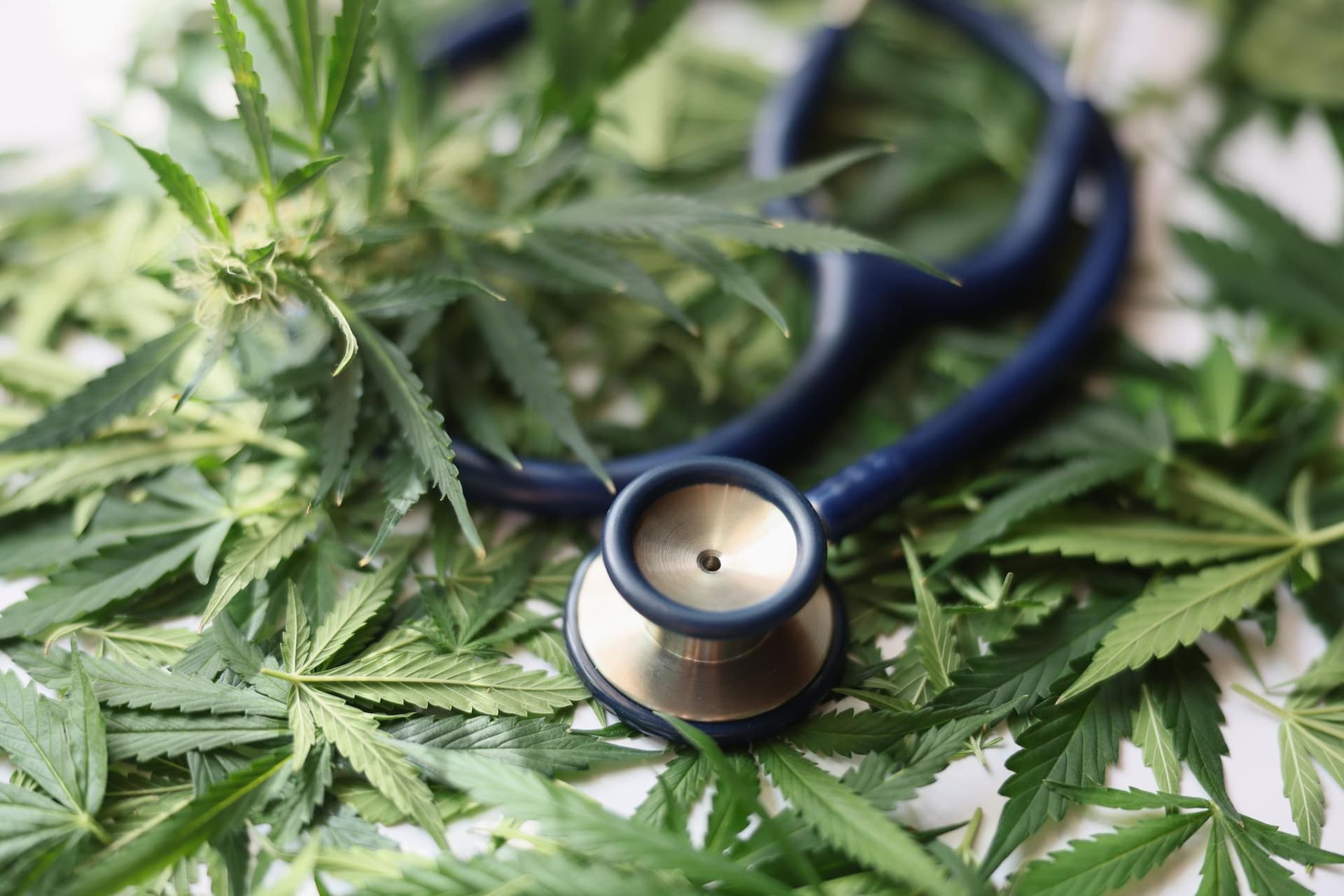A magyarok többsége elfogadná a kannabiszalapú gyógyszereket 