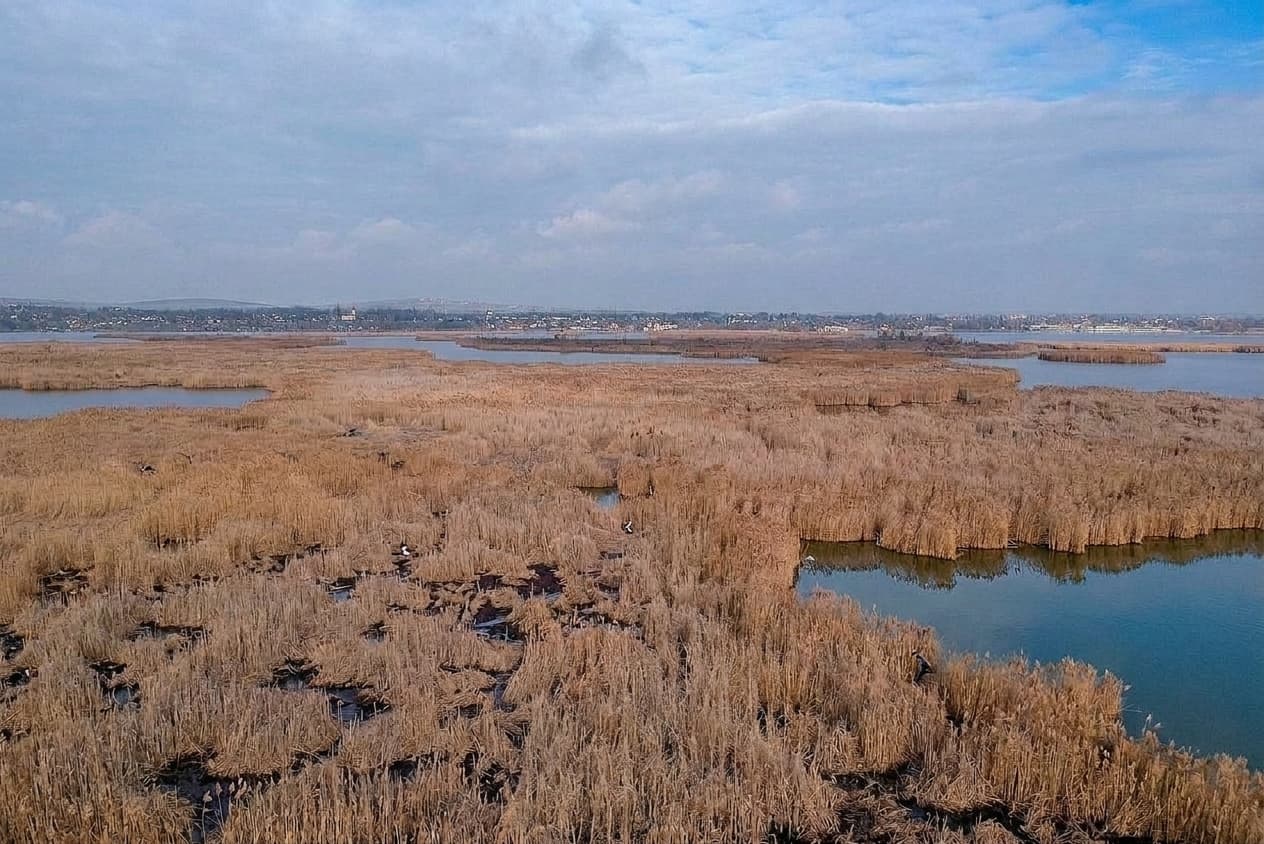 Több strand is zárva marad idén a Velencei-tónál a történelmi aszály miatt