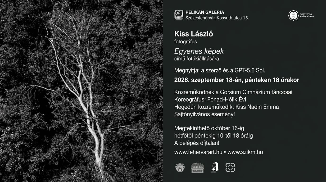 Egyenes képek – Kiss László fotográfus tárlata a Pelikán Galériában