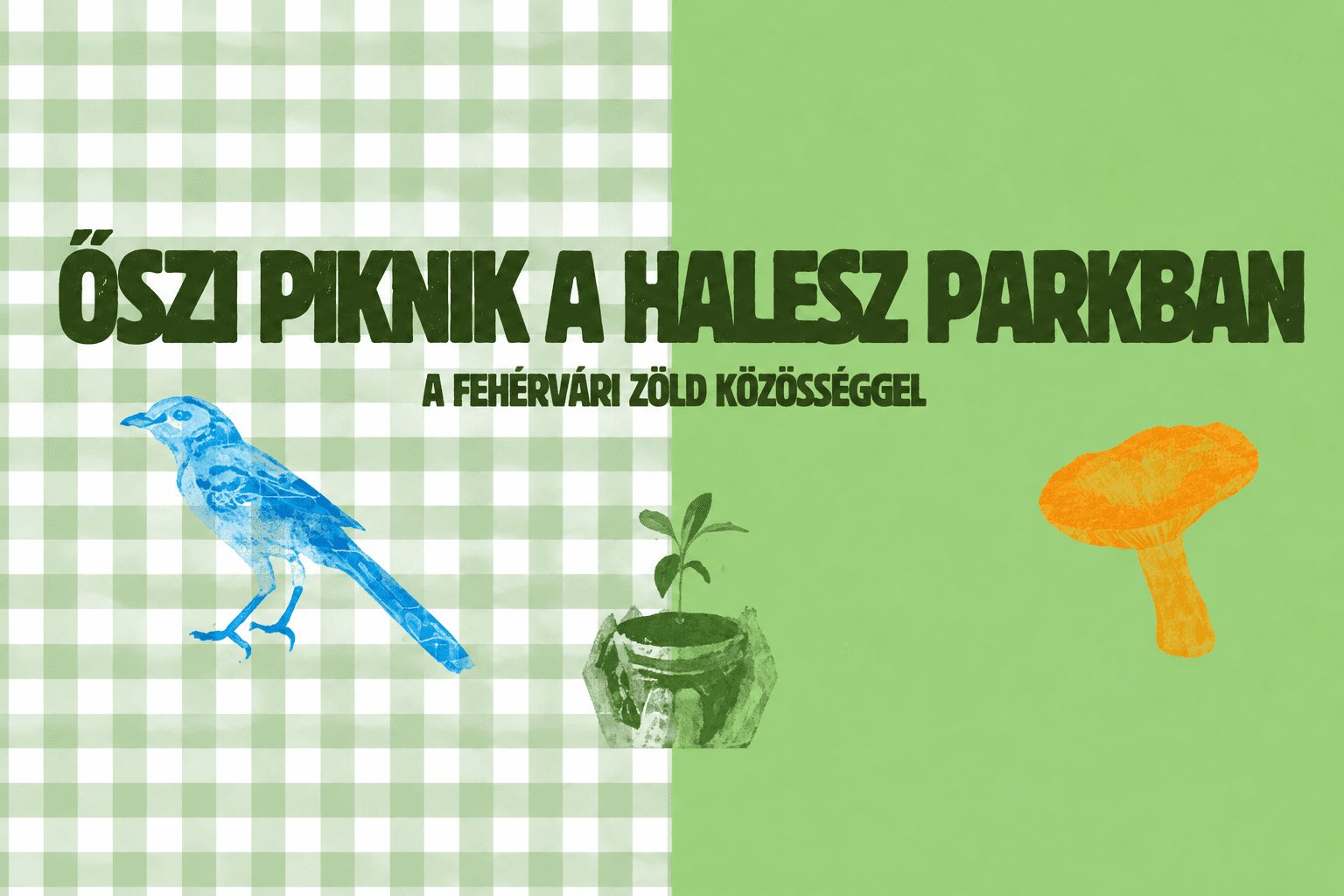 Pléd, játék és ötletbörze: őszi piknikre hív a Fehérvári Zöld Közösség a Halesz ligetbe