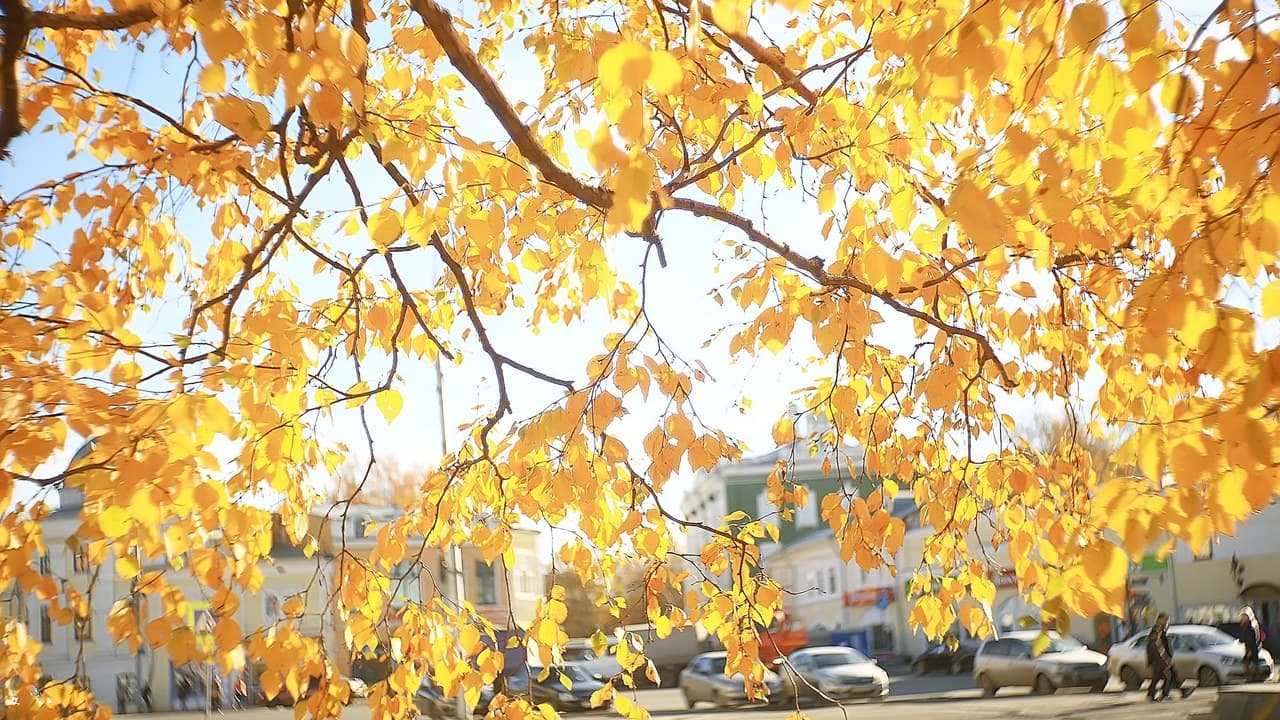 Csodás őszi napsütés köszönt be Székesfehérváron