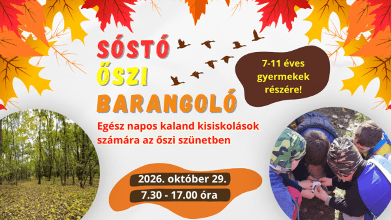 Őszi barangoló a Sóstón: egész napos természetes kaland kisiskolásoknak