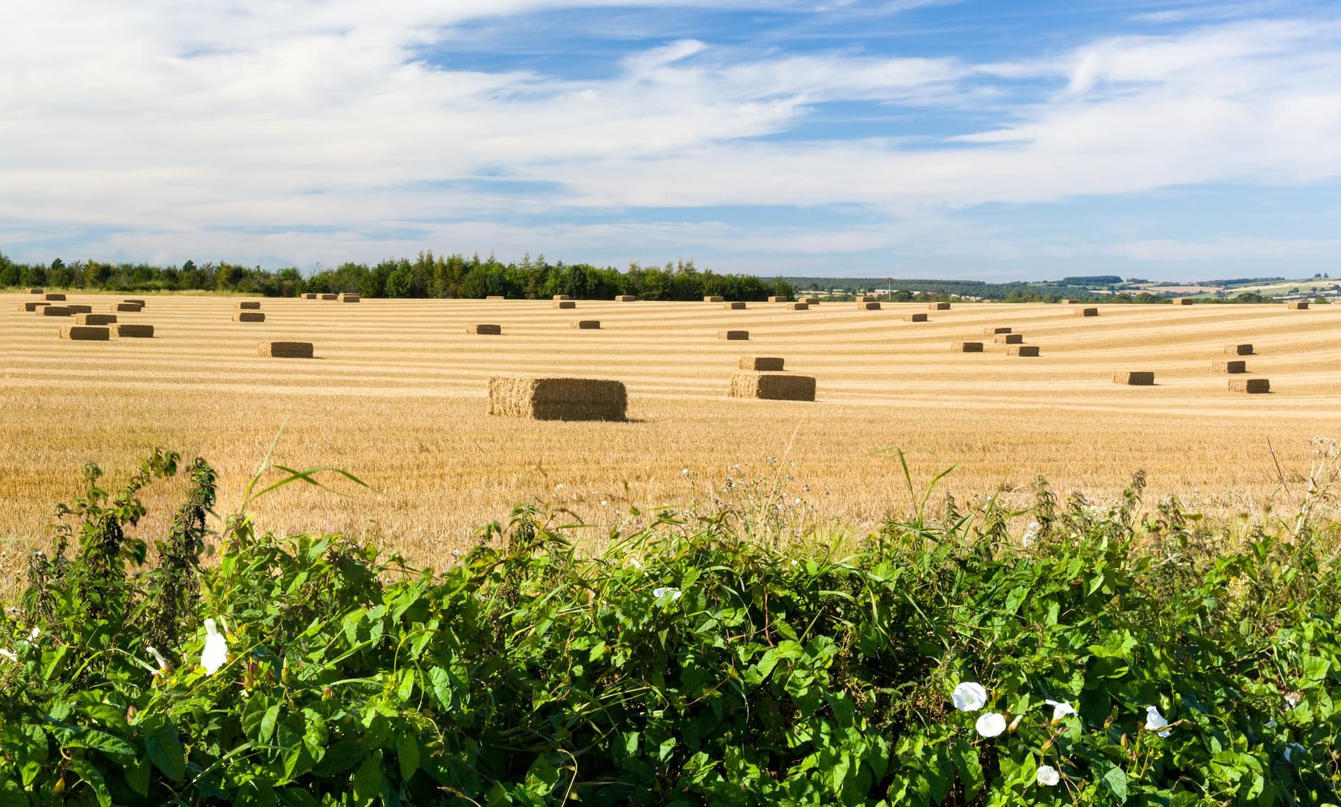 20%-al kevesebb agrárgazdaság három év alatt: gyorsul a koncentráció a magyar mezőgazdaságban