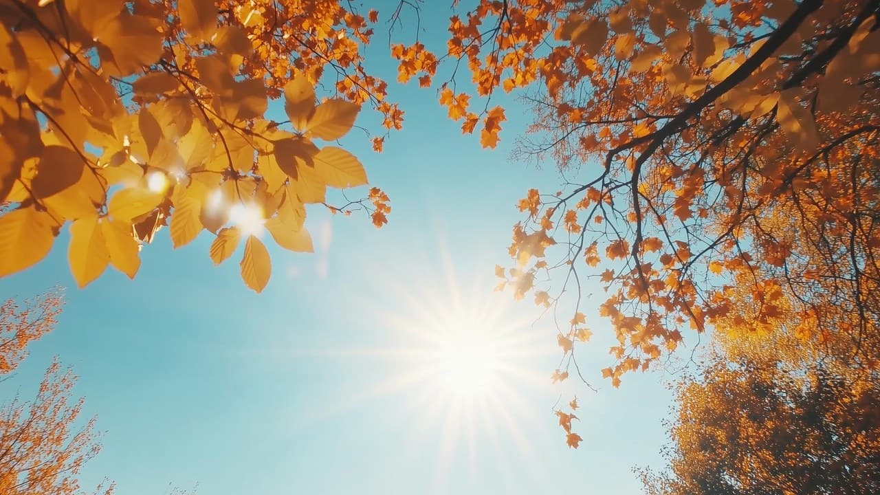 Székesfehérvár környéki napos őszi táj folyóval és színes fákkal.
